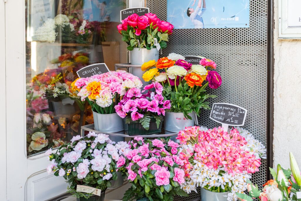 fleurs dans des pots